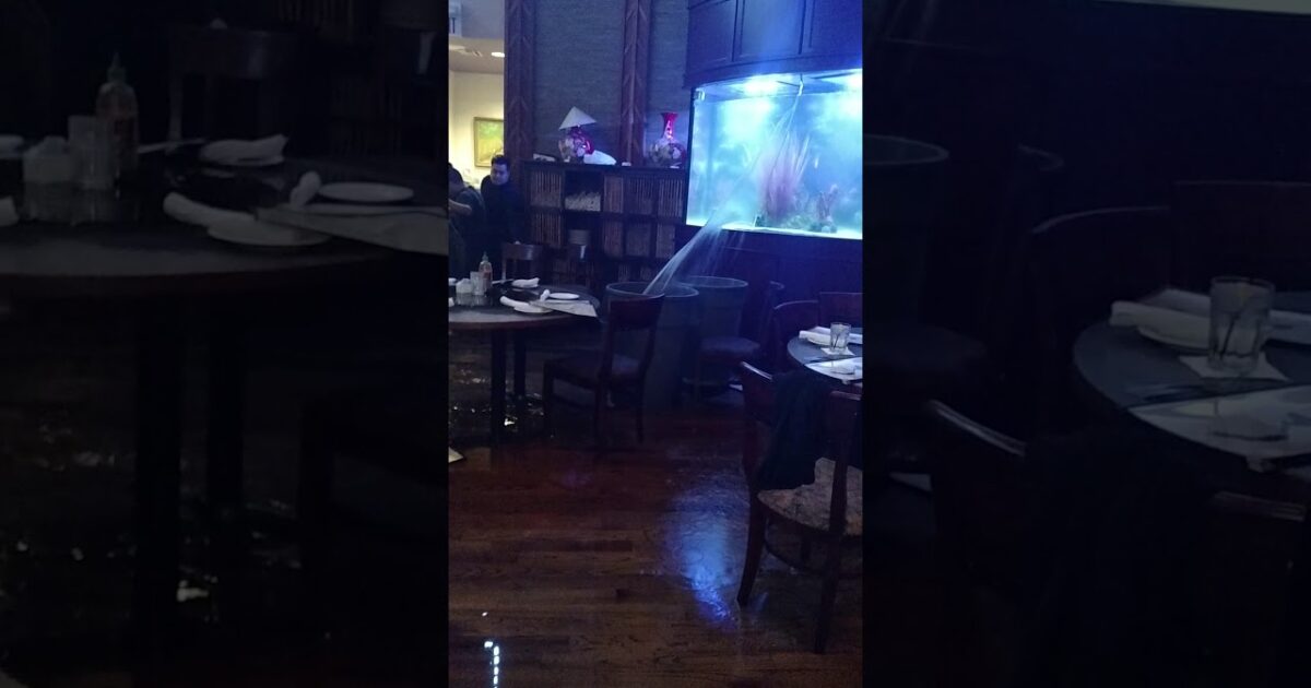 شاهد ..مقطع تحطم حوض سمك يحدث ضجة على الإنترنت 68573