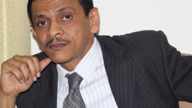 جمال علي حسن