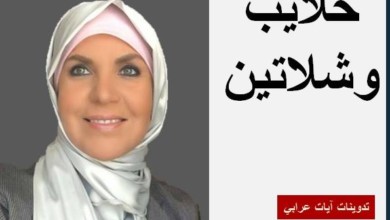 الكاتبة المصرية آيات عرابي