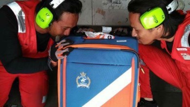 316939bd 3355 4d80 b39b c38b8f5f0482