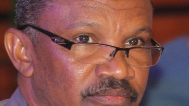 IMG 6334 2 1 750x430 2 1