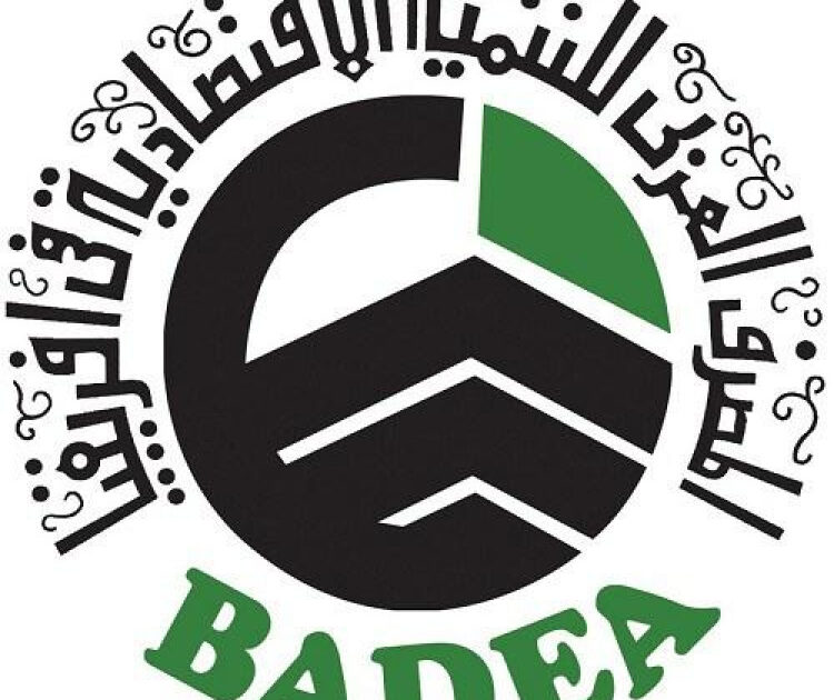 (الانكماش) الاقتصادي….هل توجد خطة إسعافية للإنقاذ ؟؟؟ المصرف العربي للتنمية الاقتصادية في افريقيا