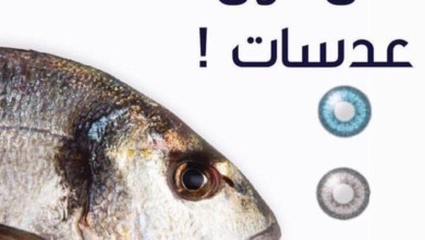 سمك بعدسات لاصقه