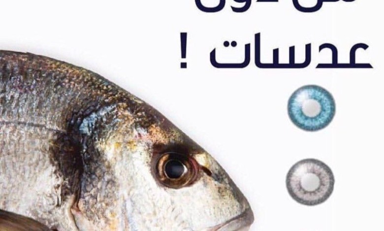 سمك بـ"عدسات لاصقة" يثير استياء الكويتيين.. التفاصيل هنا سمك بعدسات لاصقه