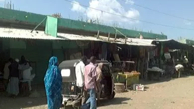 سوق القضارف يشهد ارتفاعًا حادًا في الذرة والسمسم والتسالي سوق القضارف 1