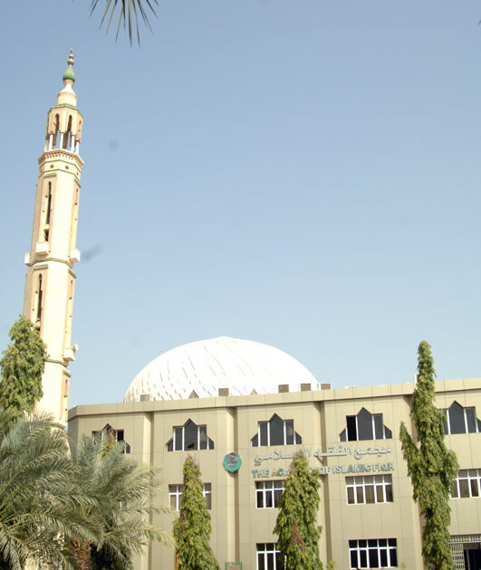مجمع الفقه: (العنوسة) أهم أسباب الالتحاق بالتطرف مجمع الفقه الاسلامي