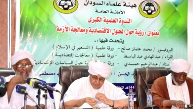 حمدي بدر الدين