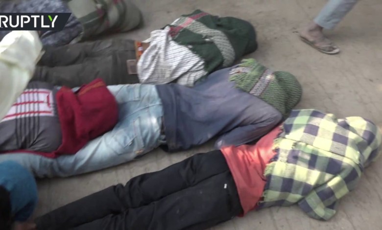 فيديو مثير للجدل.. الأبقار تدهس الهندوس لتطهرهم من الذنوب 115078