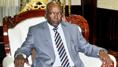 حيدر أحمد دفع الله