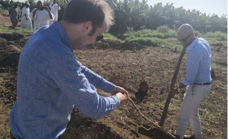 بالصور : في مشهد رائع السفير البريطاني يمسك “بالواسوق” في إحدى مزارع قرى السودان الوادعة سفير