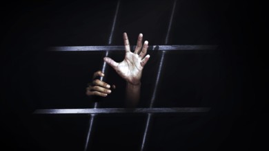 طفل داخل (قفص) يثير الدهشة بالحاج يوسف..! قفص 2 - طفل داخل (قفص) يثير الدهشة بالحاج يوسف..!
