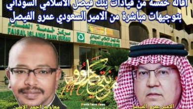 مونتي كاارو