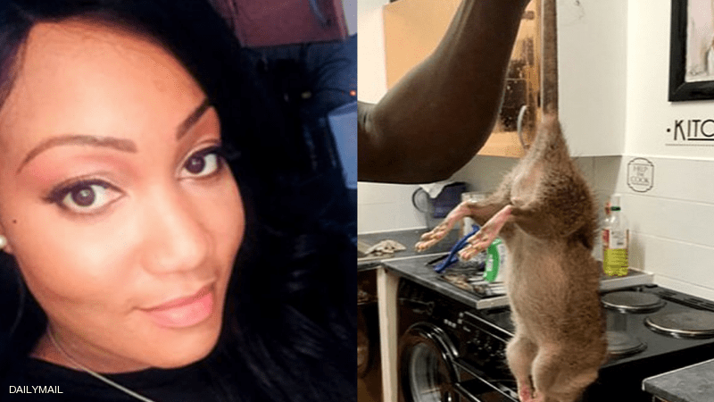 فئران بـ"حجم الكلاب" تحول حياة امرأة إلى جحيم صور