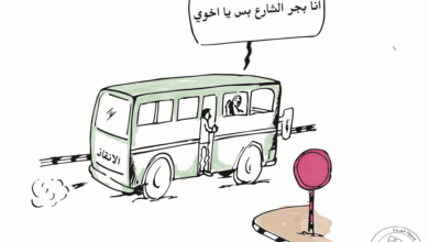 48366937 2141366042588515 2430390502382632960 n