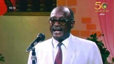 الفنان ابراهيم حسين