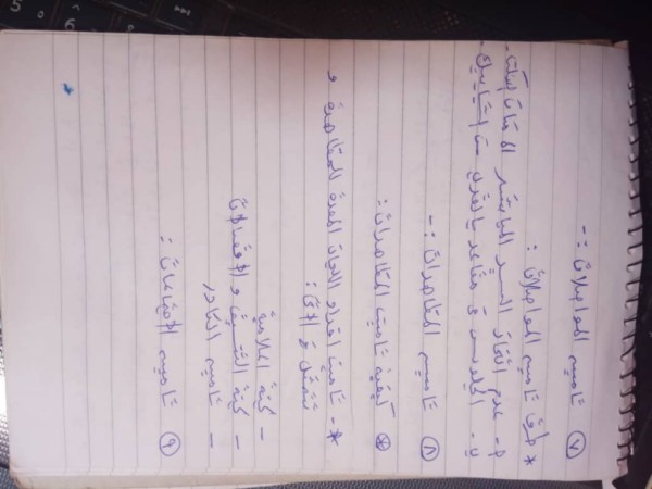 بالصور ..ضبط خلية “مسلحة” للمتمرد عبد الواحد نور بالدروشاب حركة عبدالواحد 2