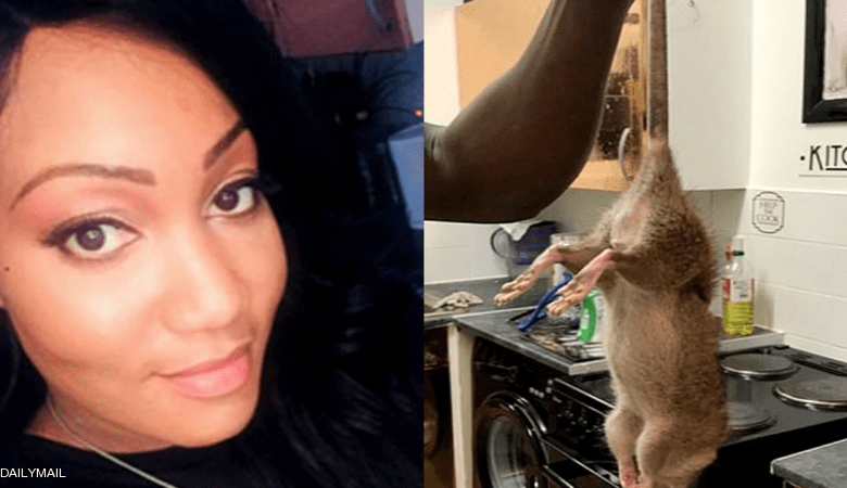 فئران بـ"حجم الكلاب" تحول حياة امرأة إلى جحيم صور