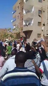شاهد: على الرغم من التعزيزات العسكرية الكبيرة قوامها اكثر من 50 عربة متنوعة مابين بكاسي وتاتشرات ودفارات 131559