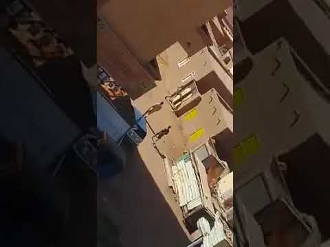 بالفيديو ..الأمن يواصل انتهاك القانون ويقتحم منازل المواطنين بالخرطوم بحري 131643