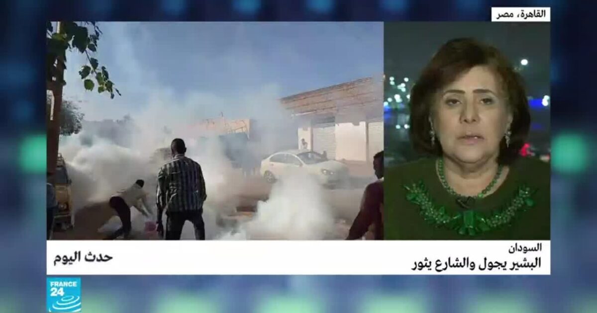 خبيرة مصرية تنصح المعارضة السودانية حتى تستطيع إسقاط النظام 134170