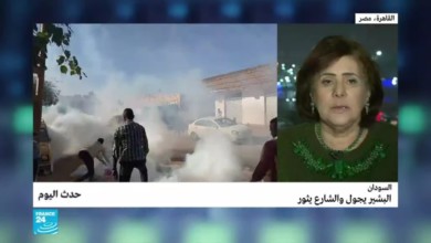 خبيرة مصرية تنصح المعارضة السودانية حتى تستطيع إسقاط النظام 134170