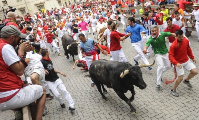 السعودية تنظم "تحدي الثيران" على الطريقة الإسبانية 336386 الثيران2