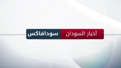 محامي شيرين عبدالوهاب يكشف الحقيقة وراء شائعة منعها من رؤية بناتها سودافاكس - اخبار السودان