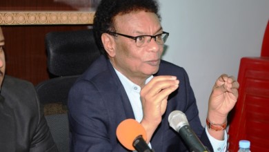النور حمد