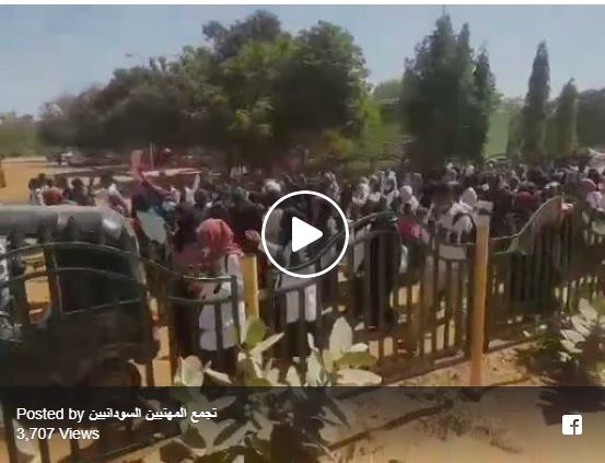 بالفيديو ...جامعة الجزيرة تخرج في مظاهرات حاشدة جامعة الجزيرة