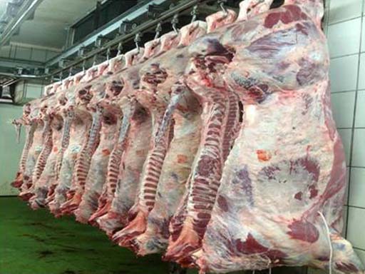 انتعاش سوق (المعضمة) والكيلو يقفز إلى 40 جنيهاً عضم