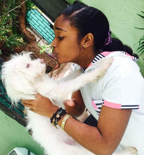 كلاب اللولي