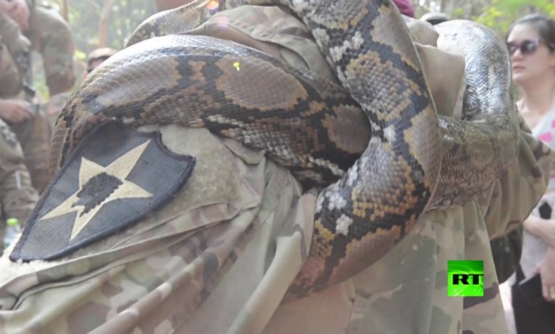 جنود أمريكيون يأكلون العقارب ويحتسون دماء الثعابين في تايلاند 140929