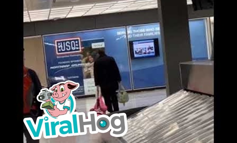 بالفيديو.. أمريكي يحوّل طفلته لحقيبة سفر والتواصل العالمي يتعاطف 142372