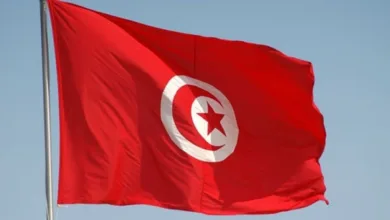 تحويل الديون