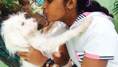 كلاب اللولي