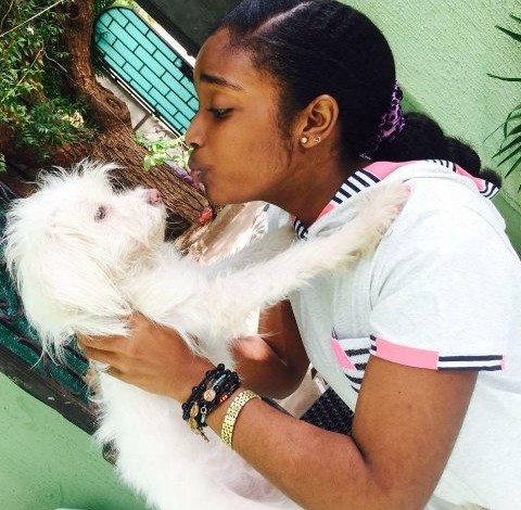 كلاب اللولي موضة وبرستيج كلاب اللولي