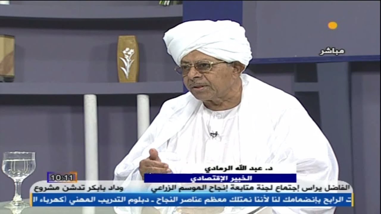 خبير يدعو للاهتمام بالرأي الاقتصادي واحترام التخصص