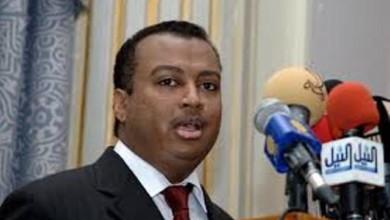 جعفر الصادق الميرغني