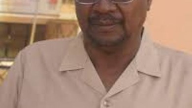 نصر الدين حميدتي