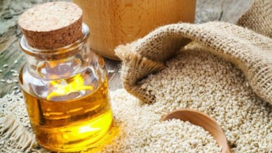 31dac0f0 7371 4f5b b193 8891b3efc587 16x9 1200x676