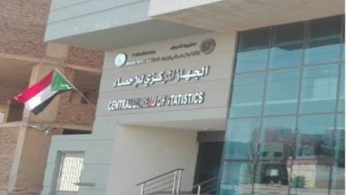 الكشف عن هدر ملايين الجنيهات بالجهاز المركزي للإحصاء 343443434343 1