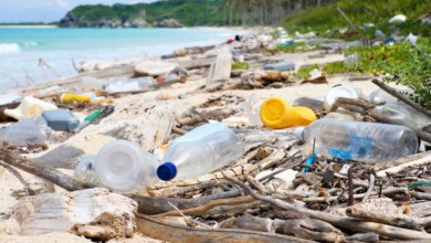 4cdbb7a4 cd4b 47c8 b3d8 9d5b93683e35 16x9 1200x676