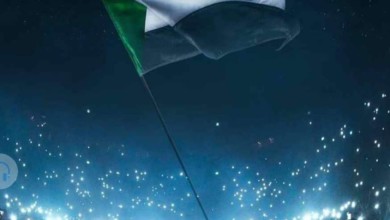 (43) قطاعاً تعلن الاستعداد للإضراب العام 56601049 2155644211156268 2375528067612278784 n