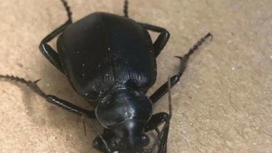 c7c3b2f0 bbbf 40ca adec 8f026a8cd730 16x9 1200x676