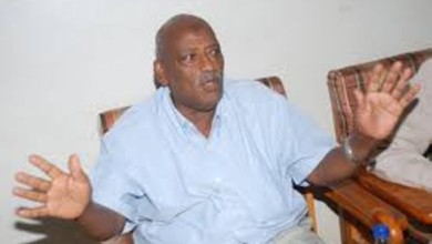 الدرامي محمد شريف علي