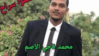 الأصم: (العسكري) يتلقى الرؤى والأفكار من رموز نظام البشير محمد ناجي الاصم