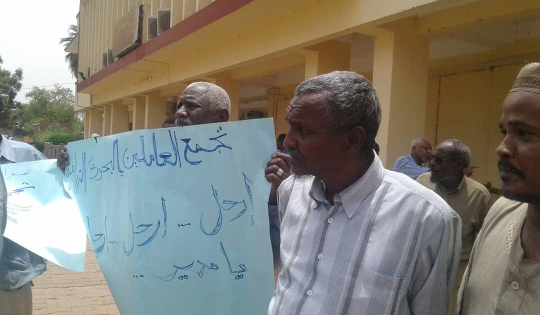 وقفة احتجاجية بهيئة البحوث الزراعية تطالب بإقالة المدير مدير