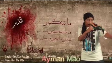 فنان يهرب من حفل بسبب أغنية لـ(ماو) 170612