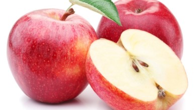 26 7 2019 22 31 17 GomhuriaOnline 1564173077