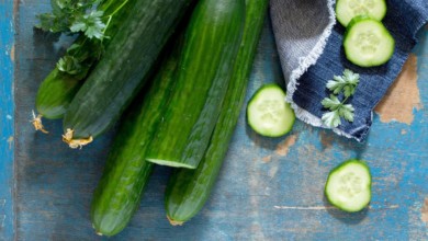 6b06b61b de85 474e 9abe 6cd0ff75766f 16x9 1200x676